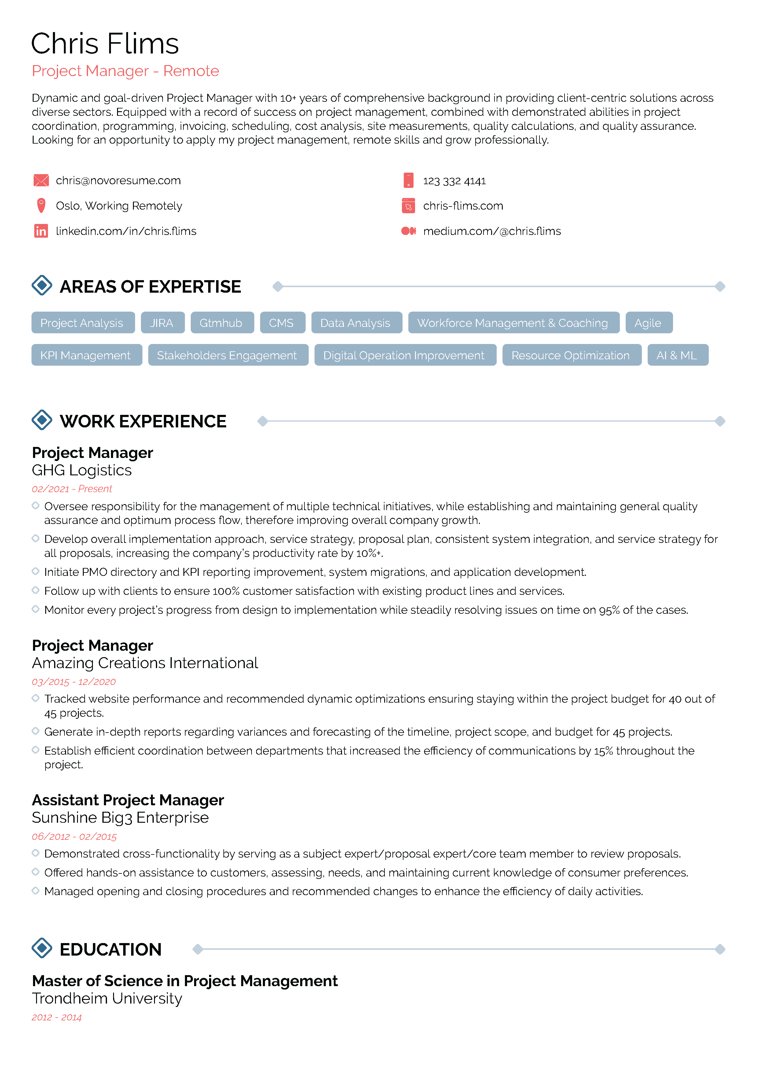 Project Management resume example